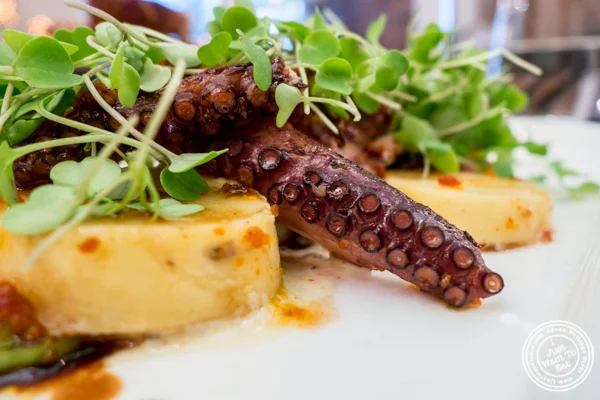 Gran Morsi, restaurants in New York 2